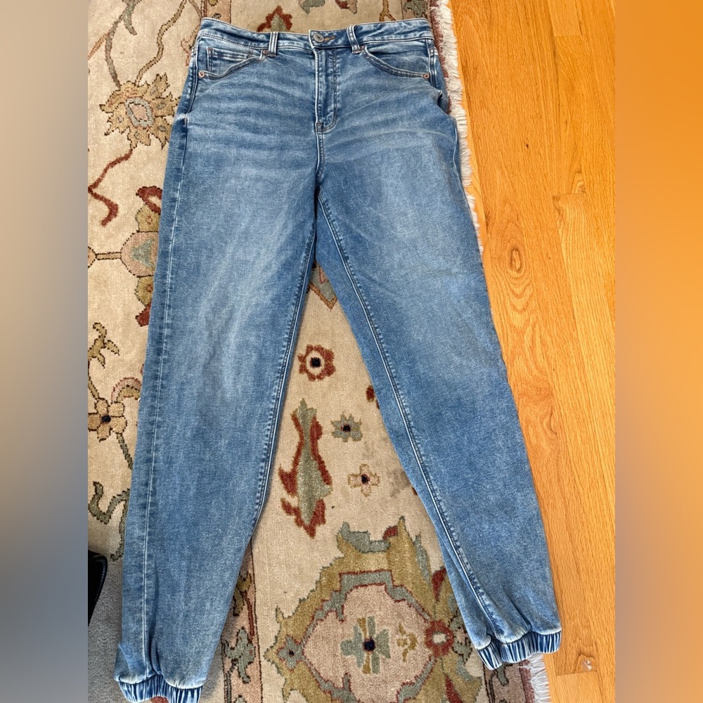 NEVER WORN American Eagle Mom Jogger size 8